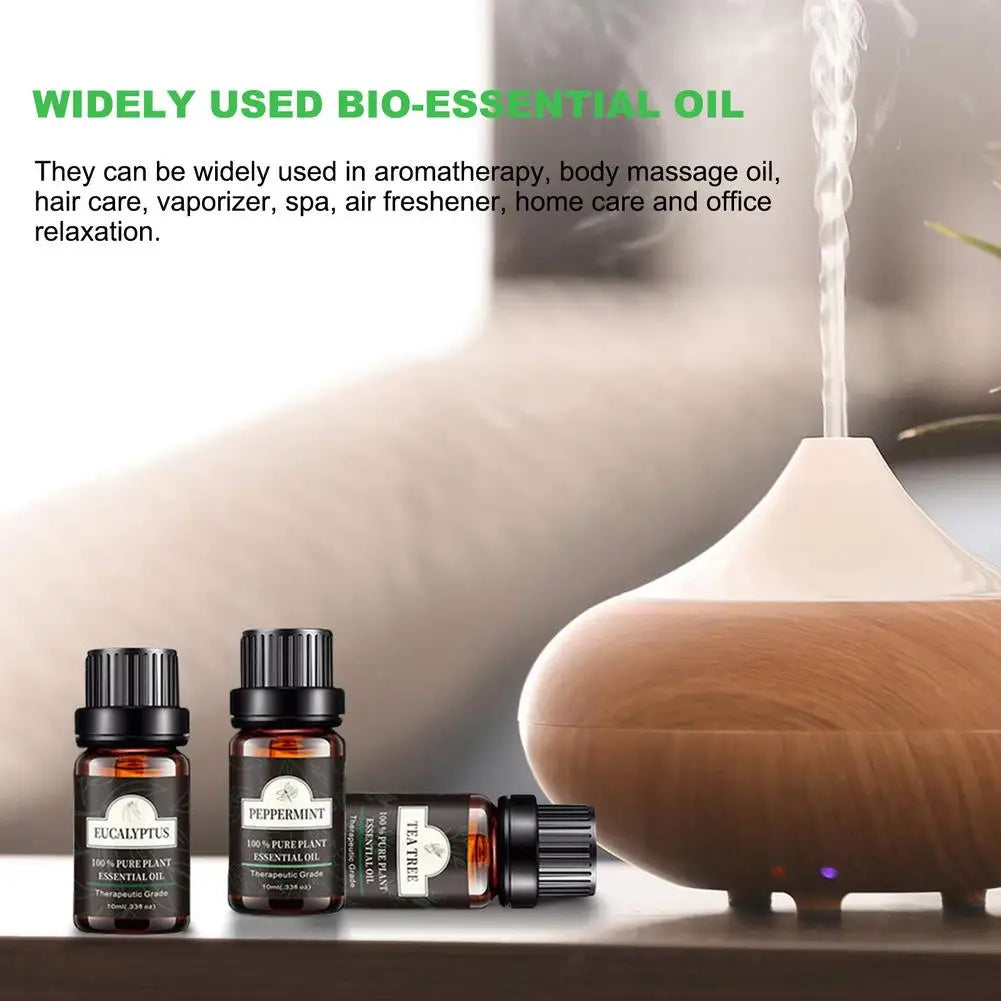 He8e887ec00514a0499649928413dc55da