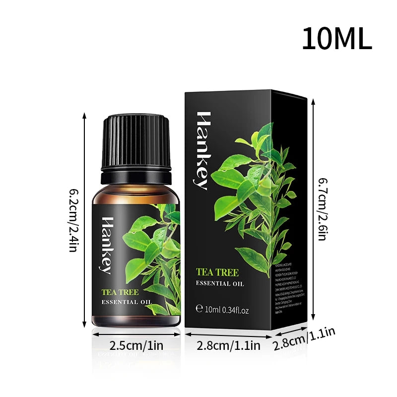 S026cdc2bee6b498ca0444c8a37c9e2efC