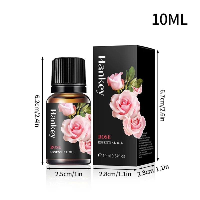 S1971db31c0144668bf3bdedcb08440f2G