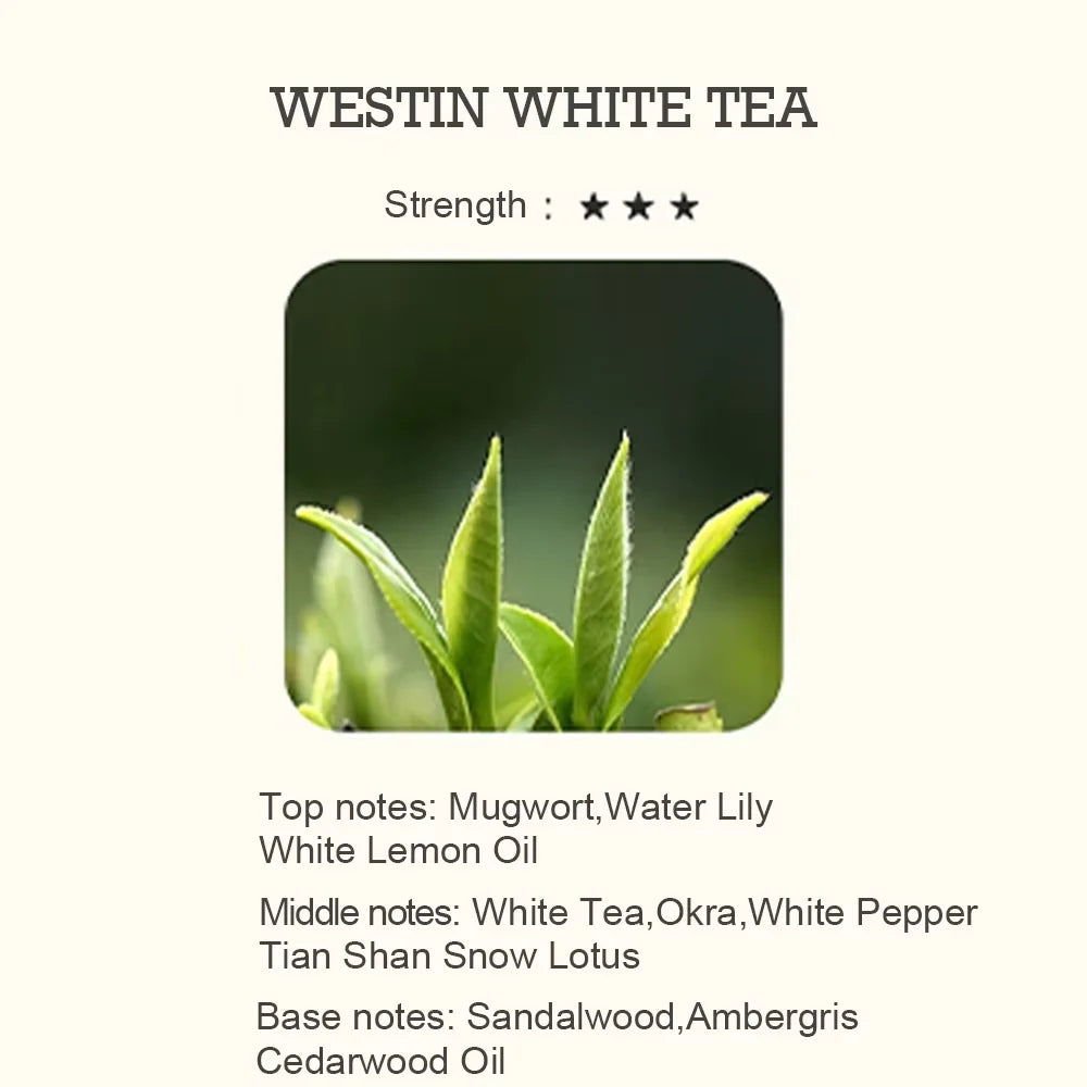 S9c3cd8fbb8fd4b92814d5e6f2d9f6e8eP