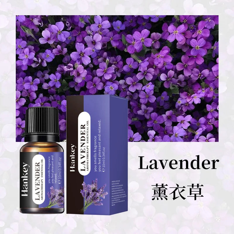 Sc63b174707cb4adca69504d671a241e38