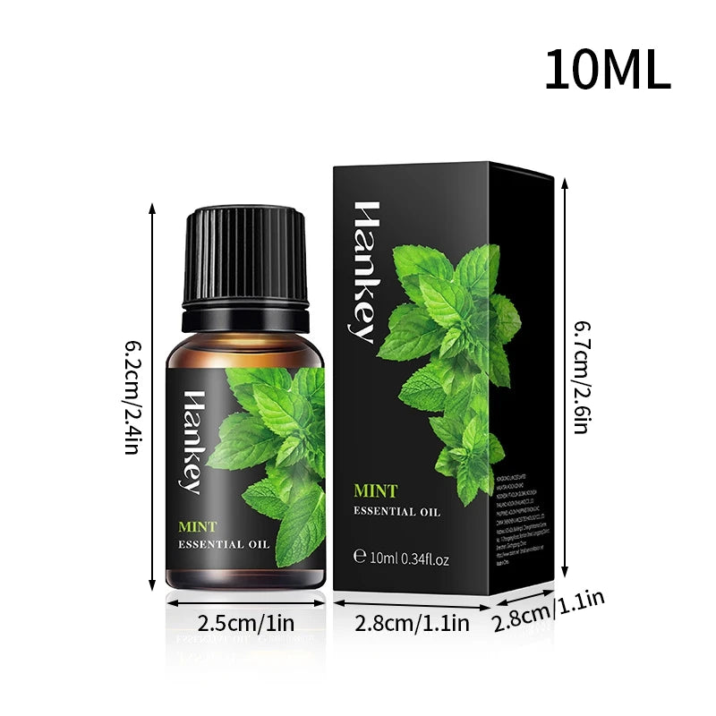 Se275a677256f45bbb8f79c0653e80bbaA