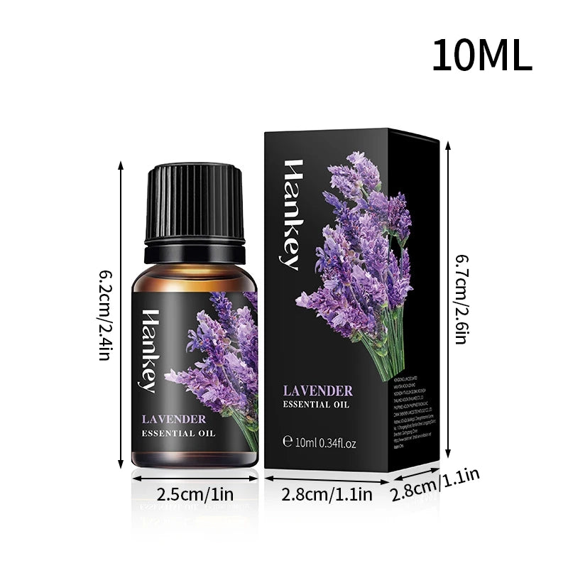 Sfb2a6b80503b4105a6e7a61381960625U